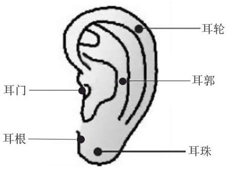 耳廓有痣|耳朵有痣命运好不好？耳朵上有痣图解！